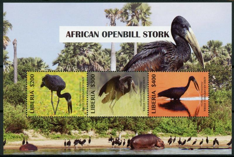 Liberia Birds on Stamps 2019 MNH African Openbill Stork Hippos Storks 3v M/S