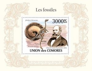 COMOROS - 2010 - Fossils - Perf Souv Sheet - Mint Never Hinged