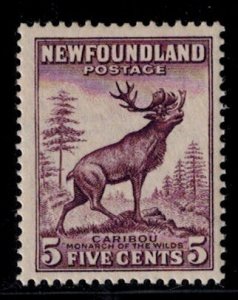Newfoundland 191 MNH VF