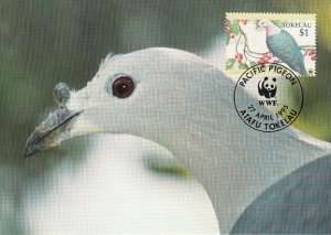 Tokelau 1995 Maxicard Sc #206 $1 Pacific Imperial pigeon WWF