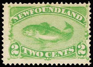 CAN.- NEWFOUNDLAND 46  Mint (ID # 106906)