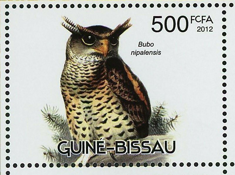 Owls Stamp Birds Bubo Nipalensis Sceloglaux Albifacies S/S MNH #6057-6060