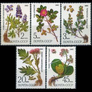 RUSSIA 1985 - Scott# 5379-83 Medicinal Plants Set of 5 NH