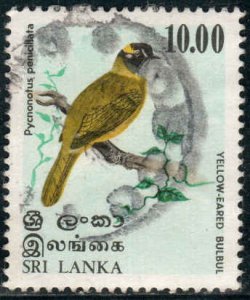 Sri Lanka (Ceylon)  #569  Used   CV $1.90