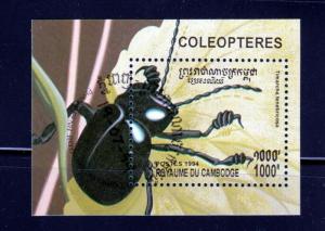 Beetle - Insect - Small Souvenir Sheet, Cambodia u26