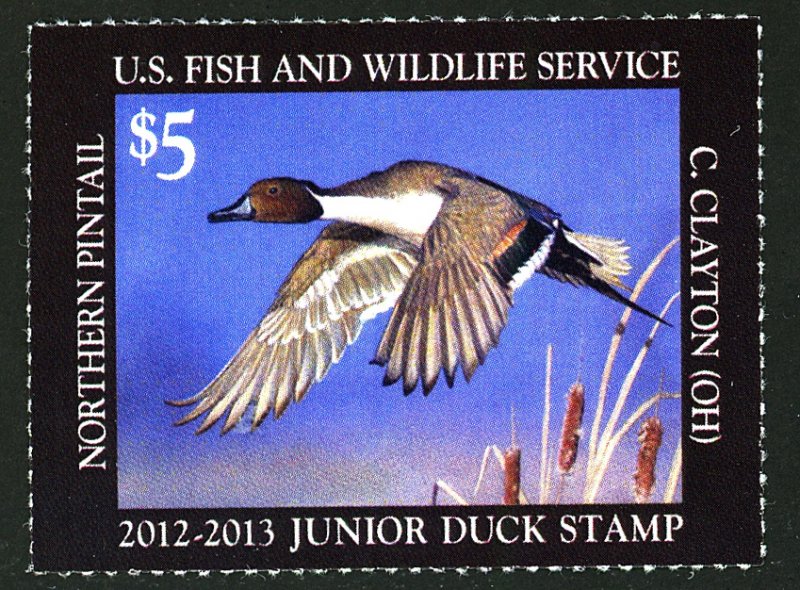 U.S. #JDs20 MINT NH