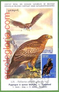 32905 - ISRAEL - MAXIMUM CARD - FAUNA, BIRDS-