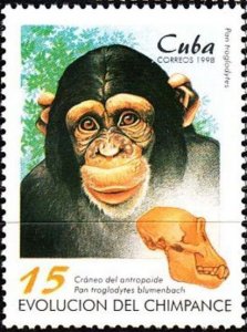 CUBA Sc# 3920  CHIMPANZEE EVOLUTION monkey 15c 1998  MNH