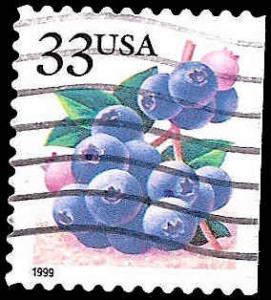 # 3294 USED BLUEBERRIES