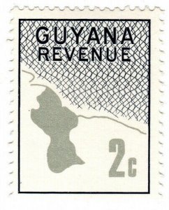 (I.B) British Guiana (Guyana) Revenue : Duty Stamp 2c