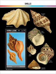 SIERRA LEONE - 2023 - Shells - Perf Souv Sheet #1 - Mint Never Hinged