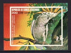 Equatorial Guinea Cockatoo Souvenir MNH  S1221