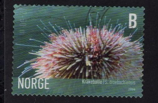 Norway  #1484  2006  used  marine life  (IV) sea urchin  B
