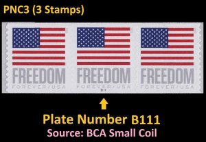 US 5789a Old Glory Freedom F PNC3 B111 from BCA small coil MNH 2023