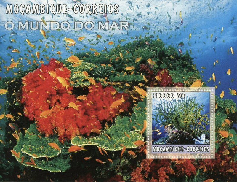 Mozambique 2002 MNH Coral Corals Fish Fishes 1v M/S Marine Stamps