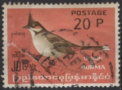 Burma 182 (used, badly wrinkled) 20p red-whiskered bulbul (1964)