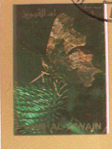 ​UMM AL QIWAIN STAMP-1973- LOVELY BUTTERFLIES  CTO-MNH STAMP SHEET -RARE