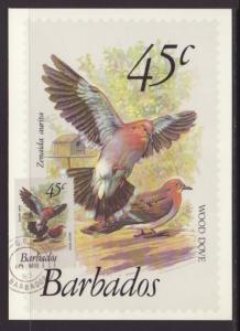 Barbados 505 Birds Maxi Card U/A FDC