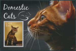 St Kitts Stamps 2015 MNH Domestic Cats Bengal Cat Pets Animals 1v S/S