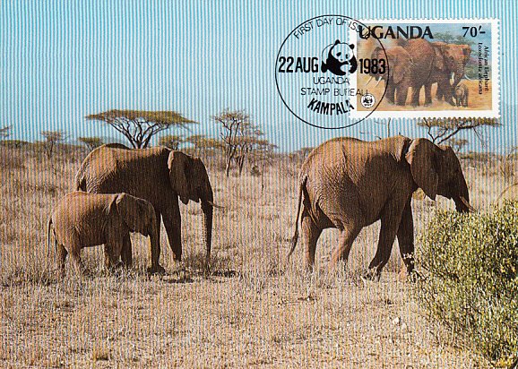 Uganda 1983 Maxicard Sc #374 70sh African elephant WWF