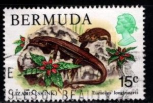 Bermuda - #370 Skink - Used