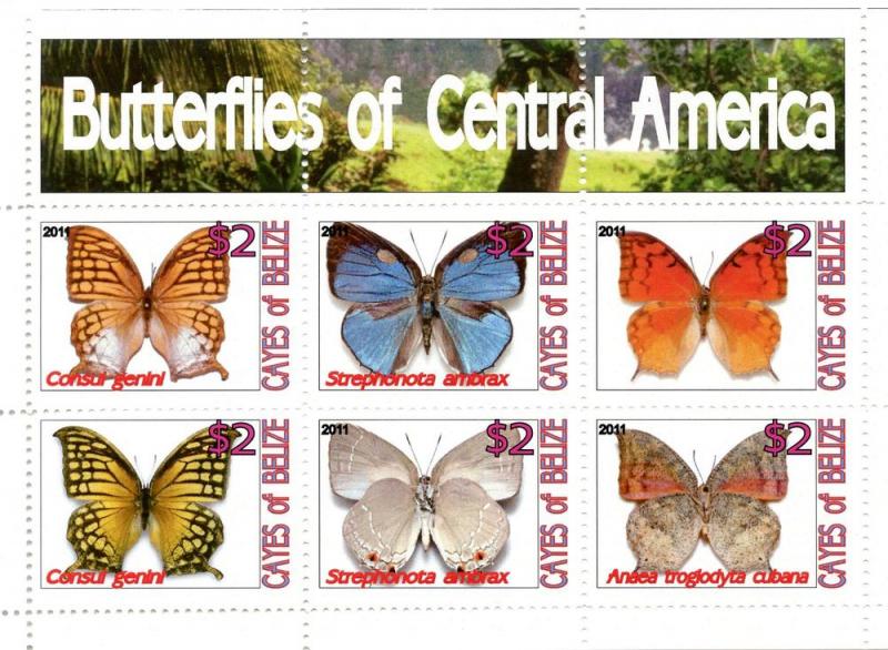CAYES BELIZE SHEET CINDERELLA BUTTERFLIES INSECTS