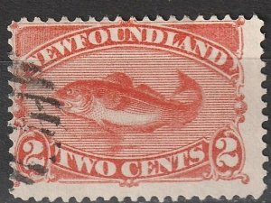 Newfoundland SC# 48 Used, Pretty stamp  (~1469)