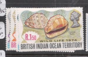 British Indian Ocean Territory Shells SC 59-62 MOG (11dhy)