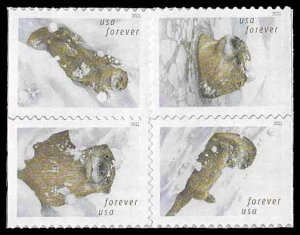 PCBstamps  US #5648/5651a Bk Block $2.32(4x{58c})Otters in Snow, (8)