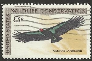 # 1430 USED CALIFORNIA CONDOR