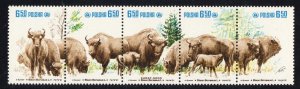 Thematic stamps POLAND 1981 EUROPEAN BISON 2758a STRIP mint