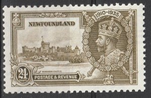 Newfoundland #229  MNH VF   (~1427)
