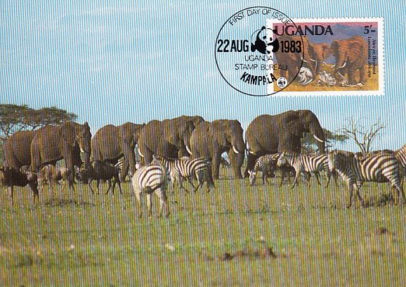 Uganda 1983 Maxicard Sc #371 5sh African elephant WWF