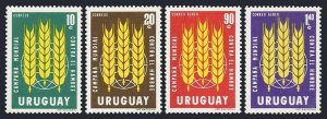 Uruguay 700-701,C254-C255 blocks/4-margin,MLH/MNH. FAO.Freedom from Hunger,1963.