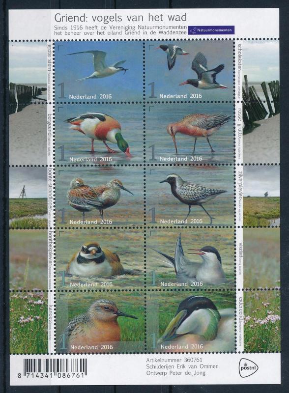 [41522] Netherlands 2016 Birds Vögel Oiseaux Stern Ducks MNH Miniature Sheet