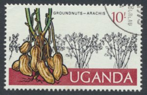 Uganda  SG 160  Used  1975  Ground Nuts SC# 144  See scans