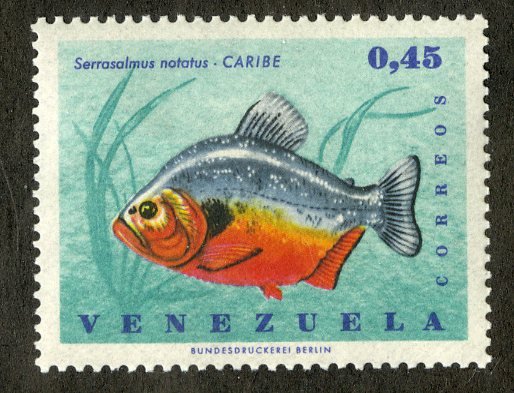 VENEZUELA 910 MNH BIN .60 MARINE LIFE