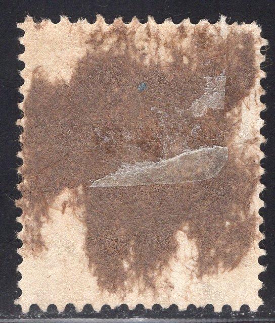 GOLD COAST SCOTT 107