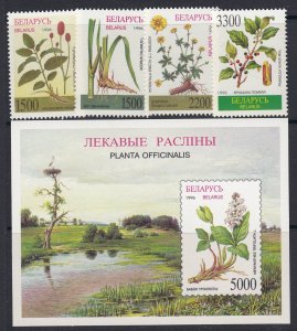 1996 Belarus 158-61+162/B11 Flowers - Medicinal plants