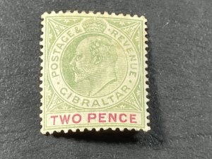 GIBRALTAR # 41-MINT/HINGED---SINGLE--GREEN & CARMINE ROSE--1903