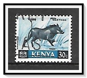 Kenya #24 Warthog Used