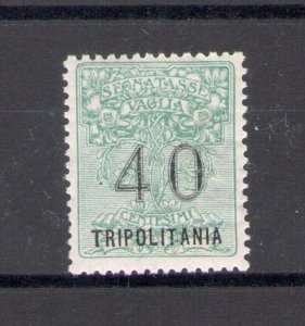 1924 TRIPOLITANIA, Bag Tax Marker, 1 value, 40 cent green overprint large print,