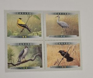 Canada 1999 Birds of Canada #1773a se-tenant Block of 4 MNH