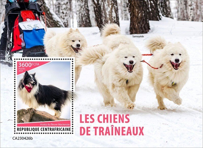 Central Africa - 2023 Sledge Dogs, Husky - Stamp Souvenir Sheet - CA230426b