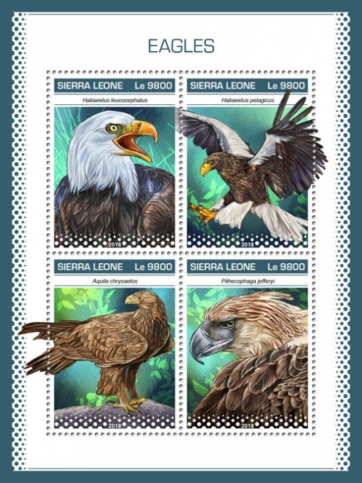 SIERRA LEONE - 2018 - Eagles - Perf 4v Sheet - Mint Never Hinged