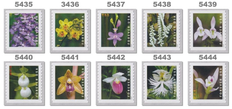 Scott 5435-44, Forever Wild Orchids Coil, 10 singles, MNH Coil Beauties