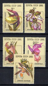 Russia & Soviet Union 5994-5998 MNH Orchids Flowers Plants ZAYIX 0624S0285