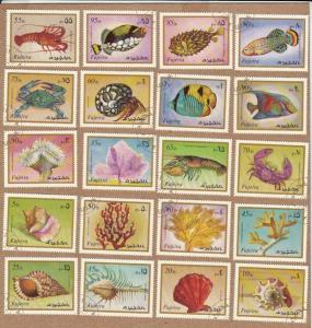 SEA LIFE - SHELL - CORAL - LOBSTER - CRAB - HERMIT CRAB - TROPIC FISH