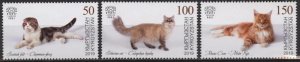 Kyrgyzstan KEP 110-112 (mnh set of 3 from s/s) domestic cats (2019)