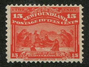 NEWFOUNDLAND #70 MINT 